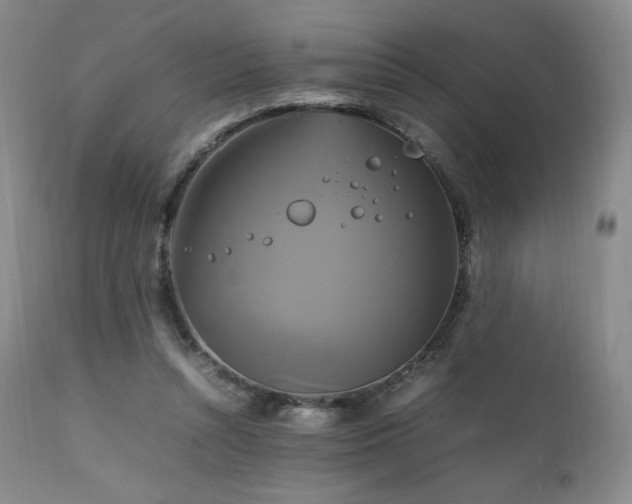 X0000111210352200907011450