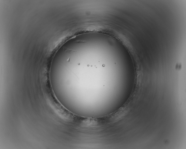 X0000111210354200907011450