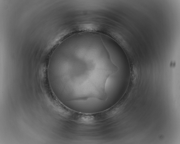 X0000111210355200907011450