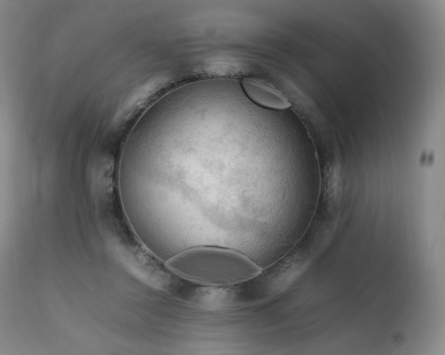 X0000111210356200907011450