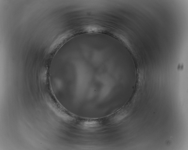 X0000111210357200907011450