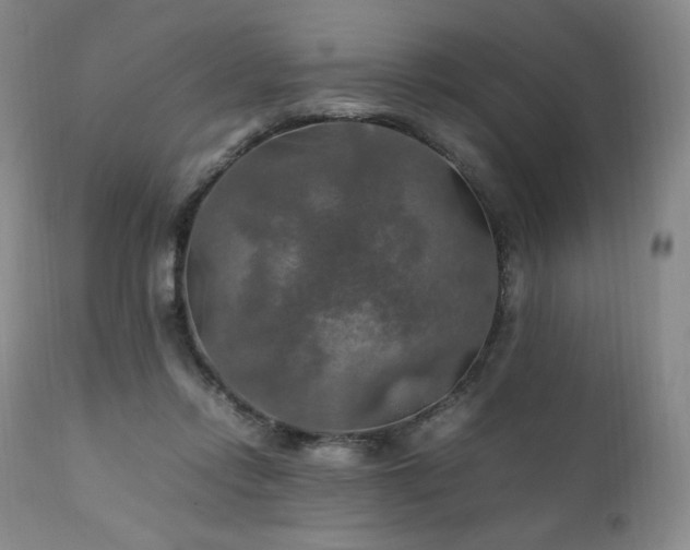 X0000111210358200907011450