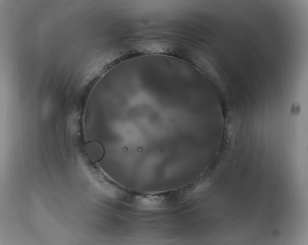 X0000111210359200907011450