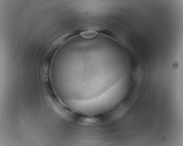 X0000111210360200907011450