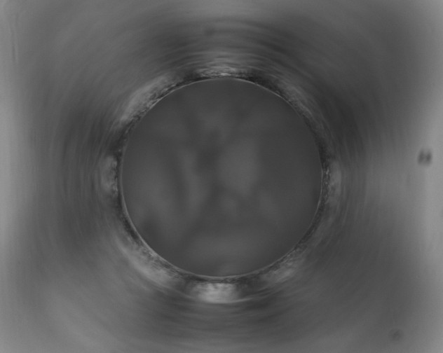 X0000111210361200907011450