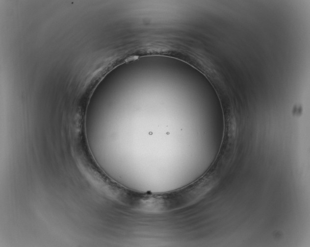 X0000111210362200907011450