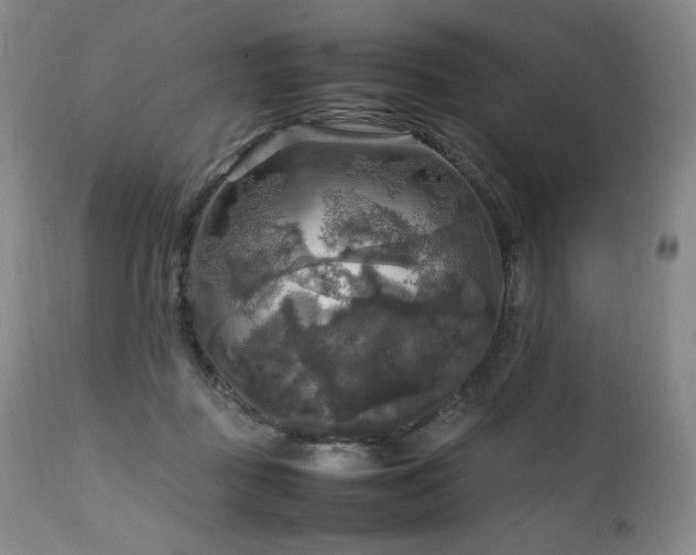 X0000111210363200907011451