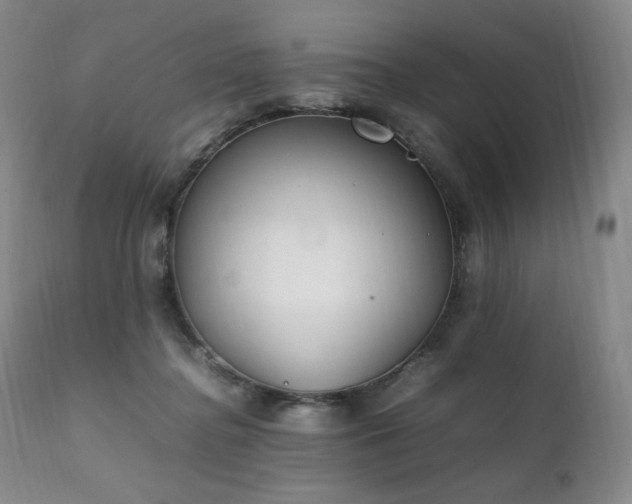 X0000111210364200907011451