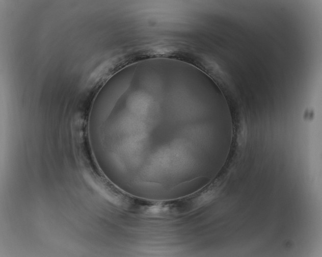 X0000111210366200907011451