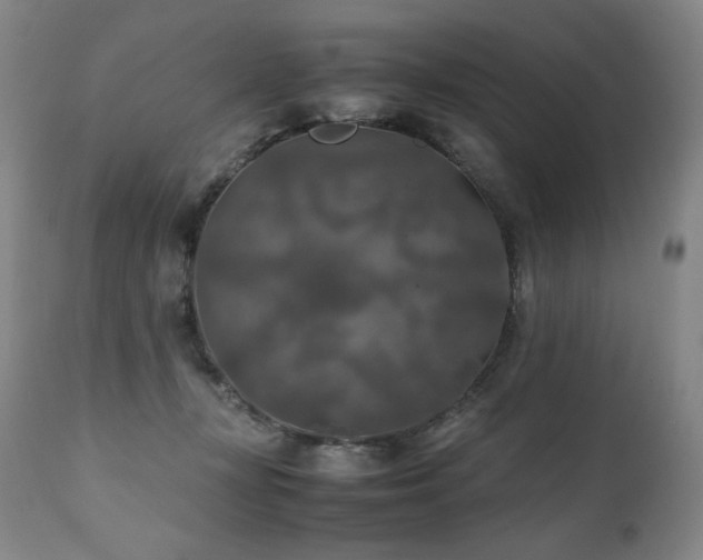 X0000111210367200907011451