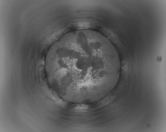 X0000111210369200907011451