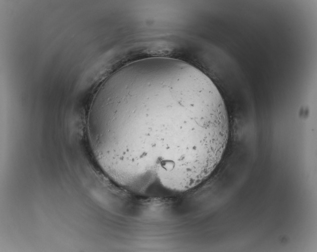 X0000111210370200907011451