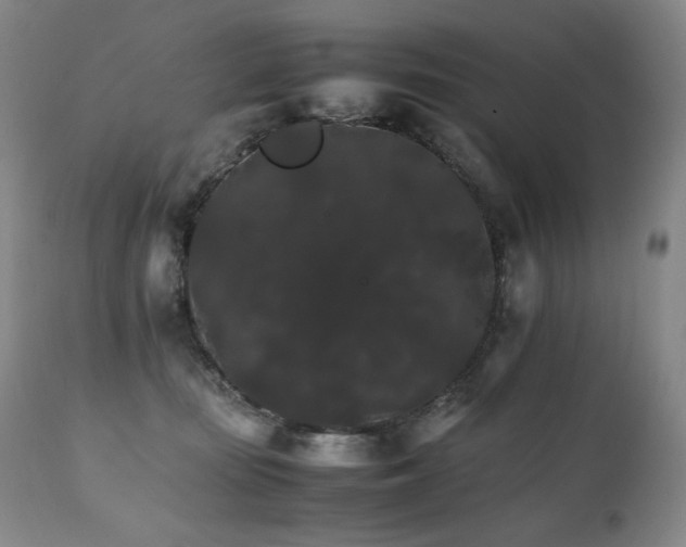 X0000111210371200907011451