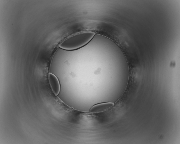 X0000111210372200907011451