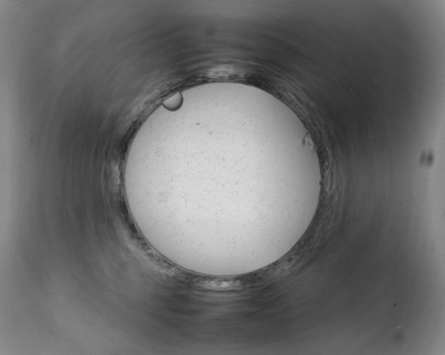 X0000111210375200907011451