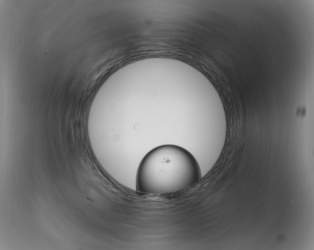 X0000111210376200907011451