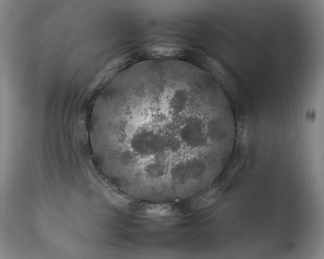 X0000111210377200907011451