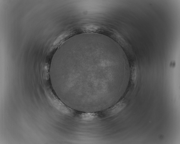 X0000111210378200907011451