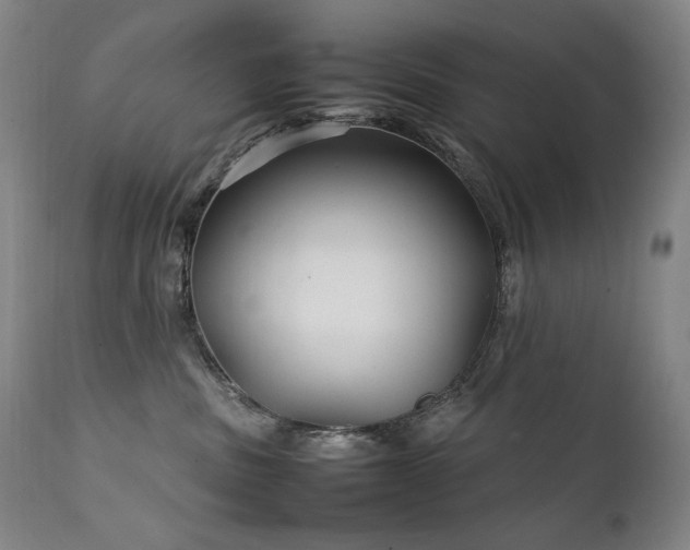 X0000111210379200907011451