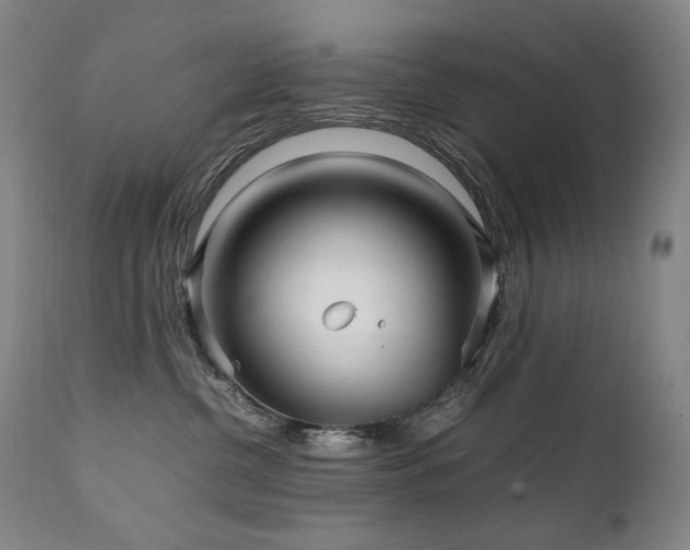 X0000111210380200907011451