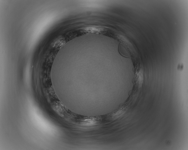 X0000111210381200907011451