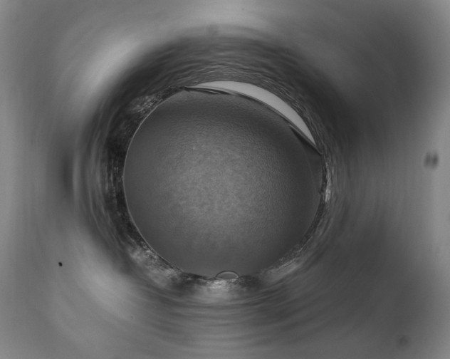 X0000111210382200907011451