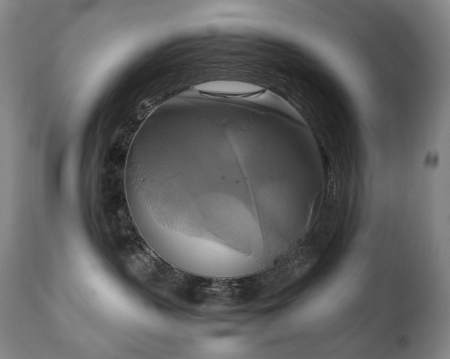 X0000111210383200907011451