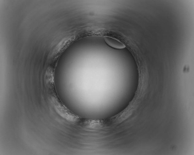 X0000111210384200907011451