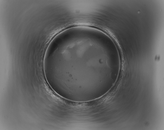 X0000111210385200907011450