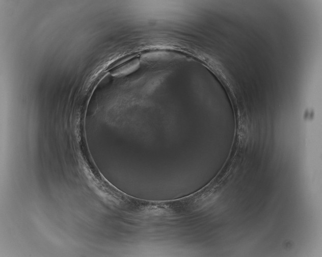 X0000111210386200907011450