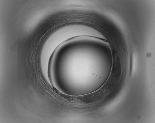 X0000111210387200907011450