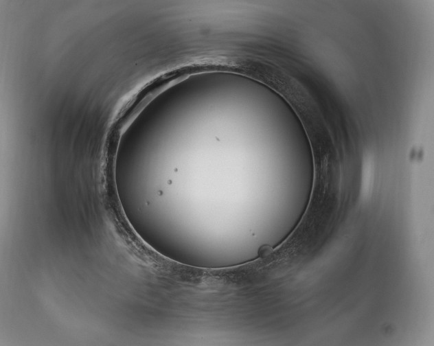 X0000111210388200907011450