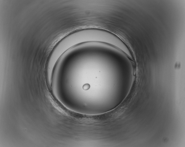 X0000111210389200907011450