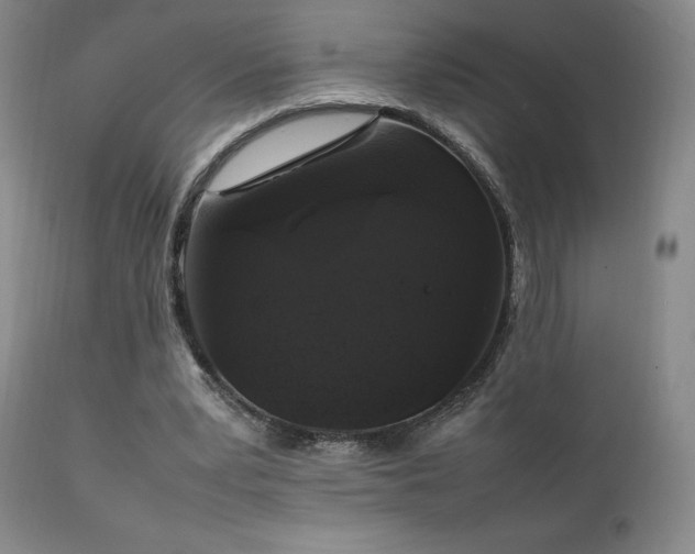 X0000111210391200907011450