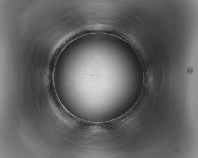 X0000111210392200907011450