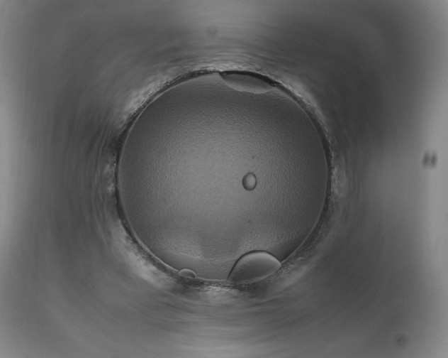 X0000111210393200907011450