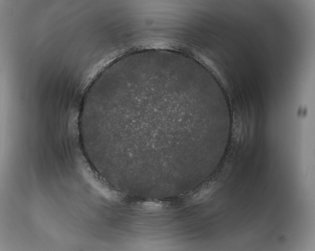 X0000111210394200907011450