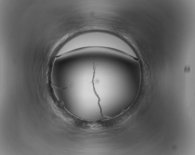 X0000111210395200907011450