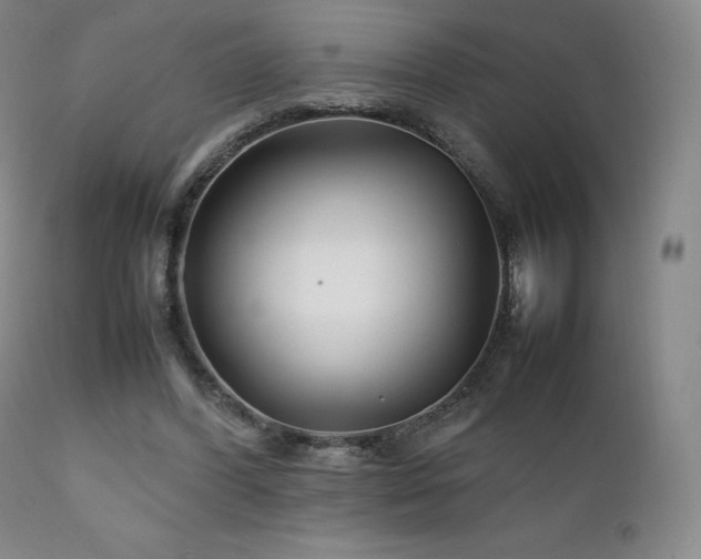 X0000111210396200907011450