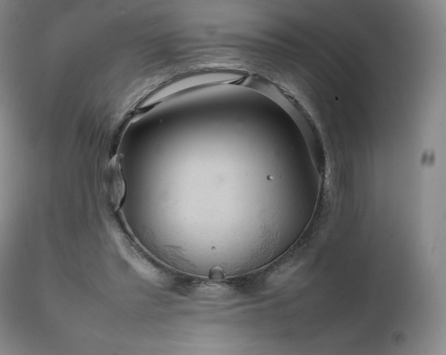 X0000111210397200907011450