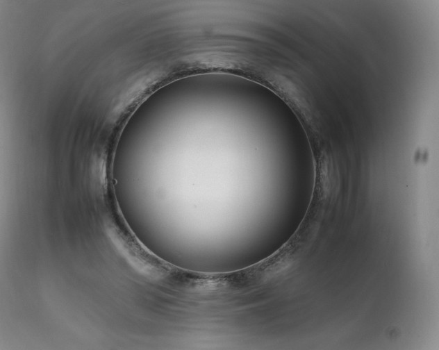 X0000111210398200907011450