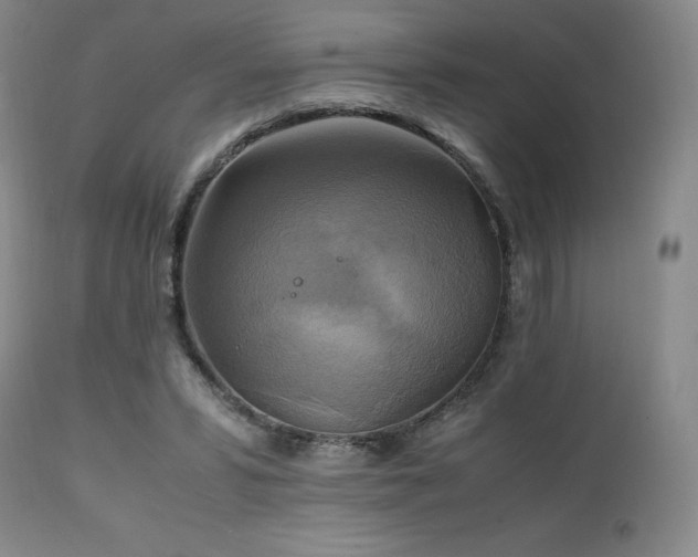 X0000111210399200907011450