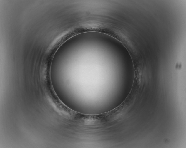 X0000111210400200907011450