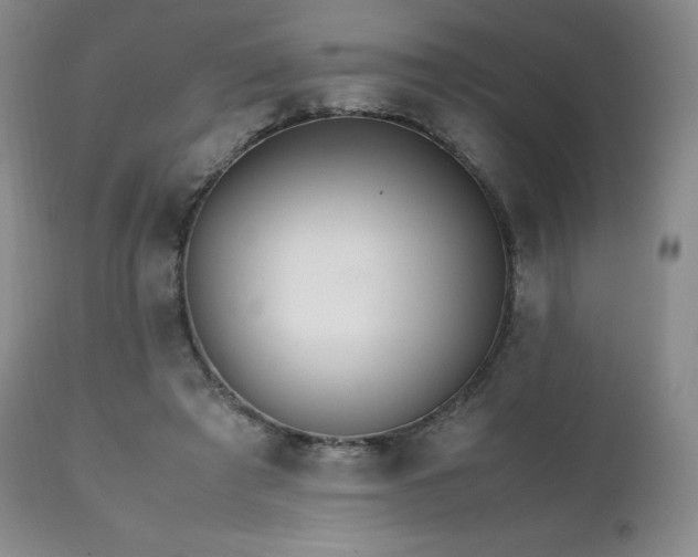 X0000111210401200907011450