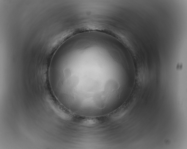 X0000111210402200907011450