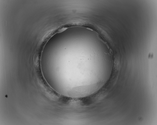 X0000111210403200907011450