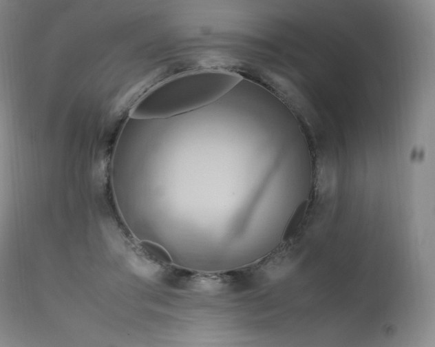 X0000111210405200907011449