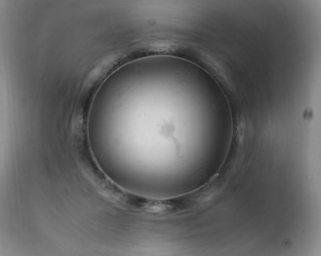 X0000111210407200907011449