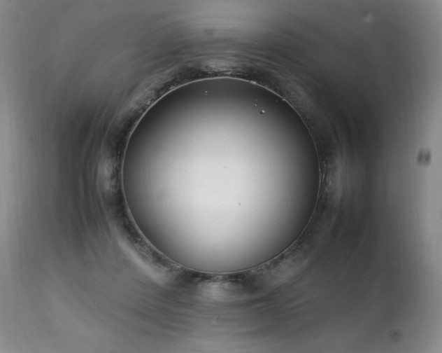 X0000111210408200907011449