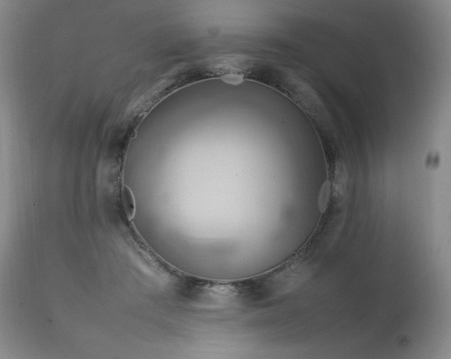 X0000111210409200907011449